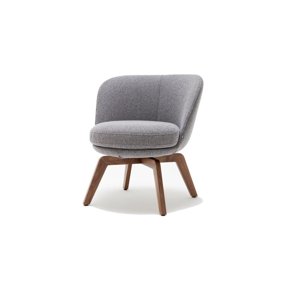 Wooden easy chair